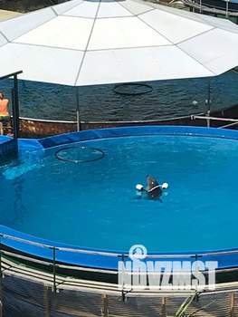 3-к квартира, посуточно, 46м2, 5/8 этаж