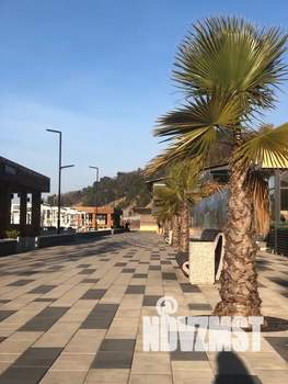 Студия квартира, посуточно, 24м2, 3/13 этаж