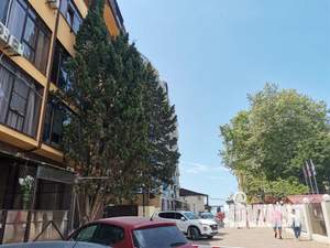 2-к квартира, посуточно, 45м2, 2/5 этаж