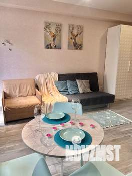 1-к квартира, посуточно, 24м2, 2/7 этаж