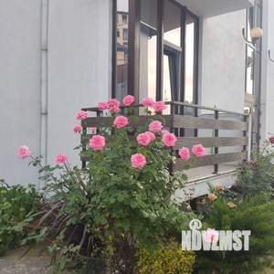 1-к квартира, на длительный срок, 30м2, 1/2 этаж