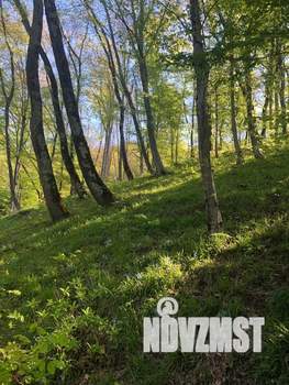 Фото квартиры в аренду (8)