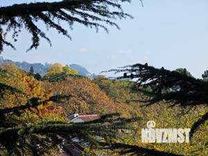 Студия квартира, посуточно, 25м2, 5/7 этаж