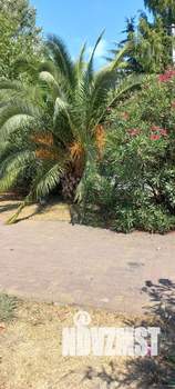 1-к квартира, на длительный срок, 30м2, 12/13 этаж