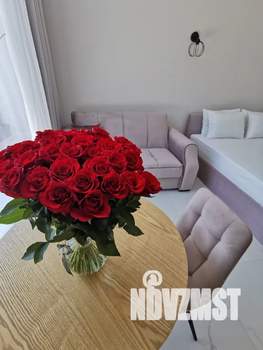 1-к квартира, посуточно, 29м2, 4/4 этаж