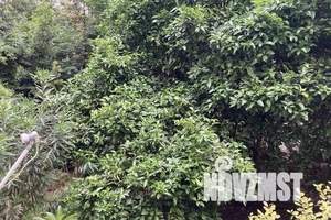 2-к квартира, посуточно, 45м2, 1/5 этаж