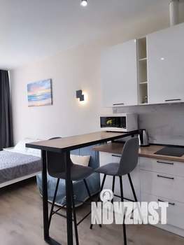 Студия квартира, посуточно, 25м2, 8/17 этаж