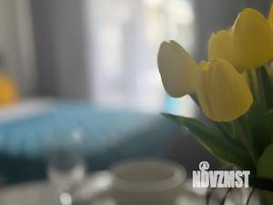 Студия квартира, на длительный срок, 28м2, 11/12 этаж