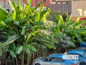 2-к квартира, на длительный срок, 47м2, 2/3 этаж