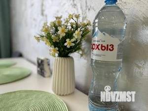 Студия квартира, посуточно, 25м2, 2/12 этаж