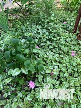 1-к квартира, посуточно, 28м2, 1/2 этаж