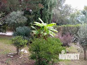 Студия квартира, посуточно, 20м2, 2/2 этаж