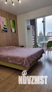 Студия квартира, посуточно, 24м2, 8/14 этаж