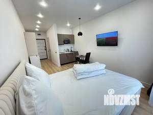 Студия квартира, посуточно, 21м2, 8/18 этаж