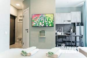 Студия квартира, посуточно, 25м2, 3/3 этаж