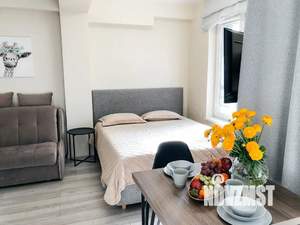 Студия квартира, посуточно, 24м2, 5/13 этаж