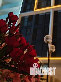 Студия квартира, посуточно, 21м2, 18/20 этаж