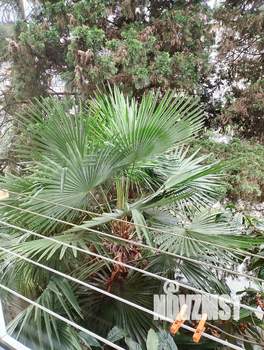 1-к квартира, посуточно, 30м2, 3/5 этаж