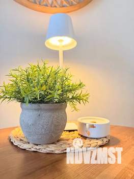 Студия квартира, посуточно, 25м2, 11/12 этаж