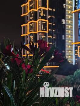 Студия квартира, посуточно, 21м2, 18/20 этаж