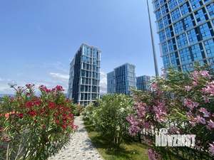 Студия квартира, посуточно, 24м2, 18/19 этаж