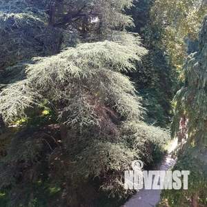 2-к квартира, посуточно, 45м2, 5/7 этаж