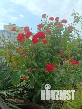 2-к квартира, посуточно, 58м2, 2/3 этаж