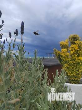 3-к квартира, посуточно, 90м2, 4/4 этаж