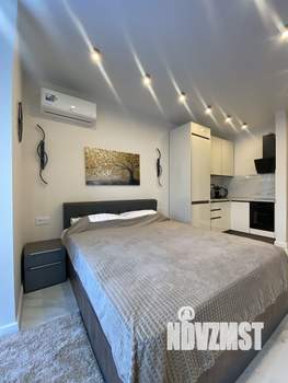 Студия квартира, посуточно, 24м2, 18/19 этаж