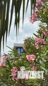 2-к квартира, посуточно, 45м2, 2/3 этаж