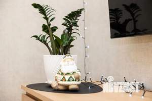 1-к квартира, посуточно, 25м2, 1/3 этаж