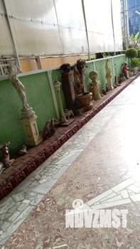 1-к квартира, на длительный срок, 18м2, 1/3 этаж