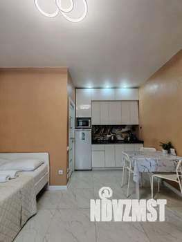 Студия квартира, посуточно, 26м2, 2/3 этаж