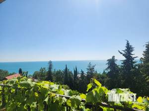 Студия квартира, на длительный срок, 40м2, 3/4 этаж