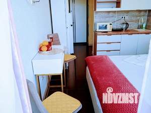 Студия квартира, посуточно, 24м2, 7/8 этаж