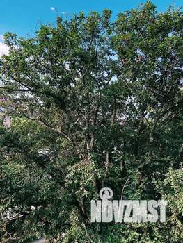 Студия квартира, посуточно, 27м2, 8/9 этаж