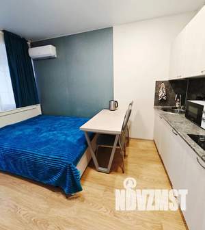 Студия квартира, посуточно, 24м2, 11/13 этаж