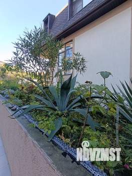 Студия квартира, на длительный срок, 31м2, 4/4 этаж