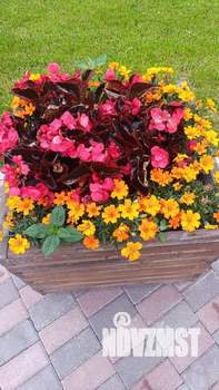 Студия квартира, на длительный срок, 31м2, 2/5 этаж