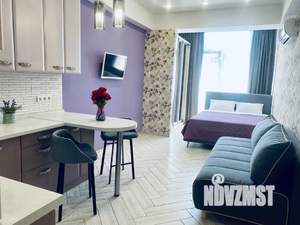 Студия квартира, посуточно, 30м2, 6/11 этаж