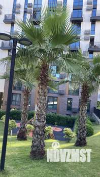 Студия квартира, посуточно, 40м2, 1/8 этаж