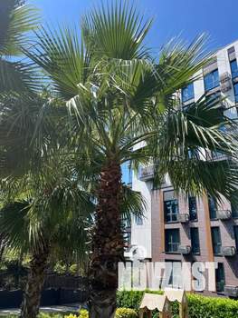 1-к квартира, посуточно, 30м2, 1/4 этаж