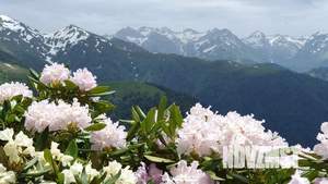 2-к квартира, посуточно, 53м2, 2/3 этаж