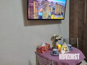 Студия квартира, посуточно, 24м2, 8/13 этаж