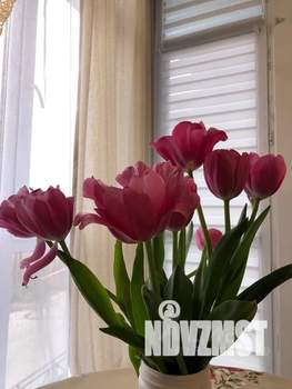 1-к квартира, посуточно, 33м2, 2/8 этаж