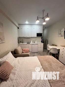 Студия квартира, посуточно, 24м2, 5/13 этаж