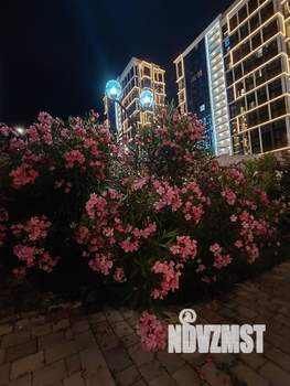 Студия квартира, посуточно, 24м2, 17/19 этаж