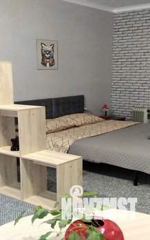 Студия квартира, посуточно, 30м2, 1/2 этаж