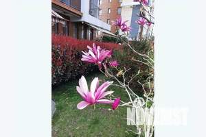 1-к квартира, посуточно, 25м2, 12/13 этаж