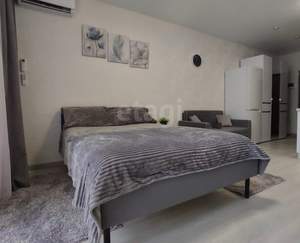 Студия квартира, на длительный срок, 25м2, 5/12 этаж